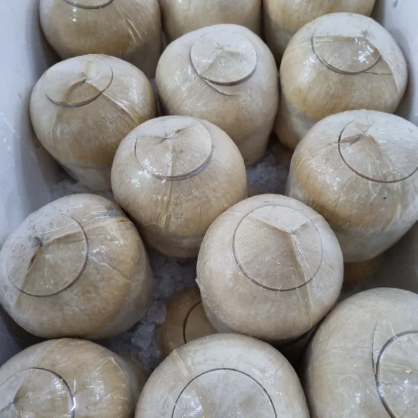 Fresh Pandan Coconut