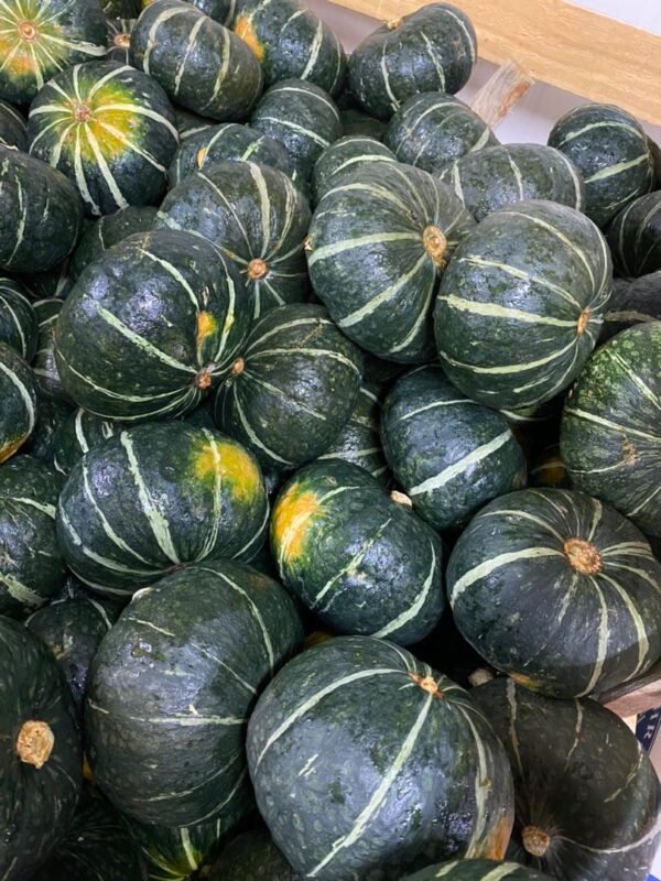 IMG-20210409-WA0154 Ajihei NZ Squash