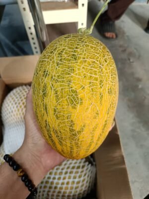 China Hamimelon