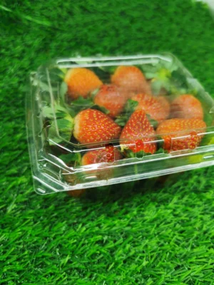 Cameron Strawberry 500gram