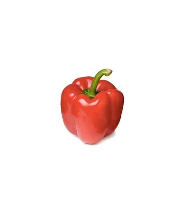 Capsicum