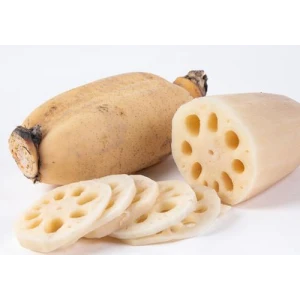 China Lotus Root 400gram
