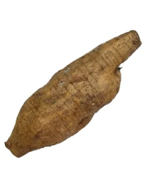 Arrow Root 500gram/pc