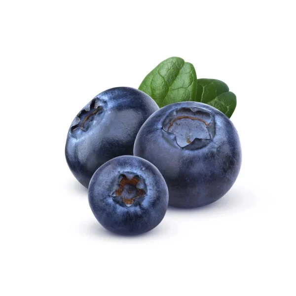 Blueberry 125gram