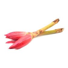 Ginger Flower
