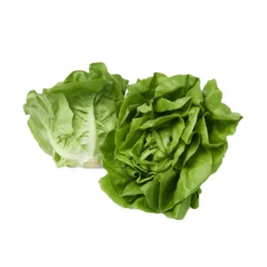 Butterhead 1-2pc 500gram