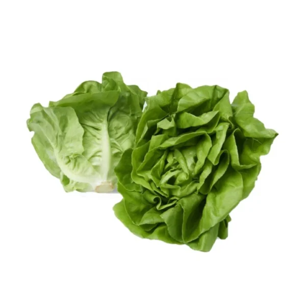 Butterhead 1-2pc 500gram