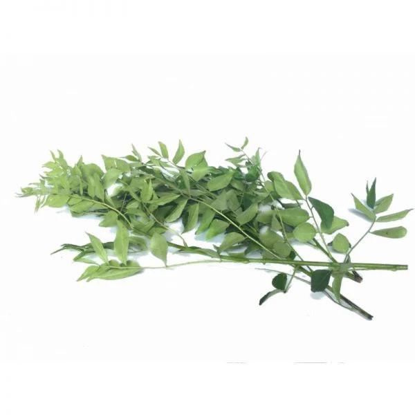 Curry Leaf 100gram